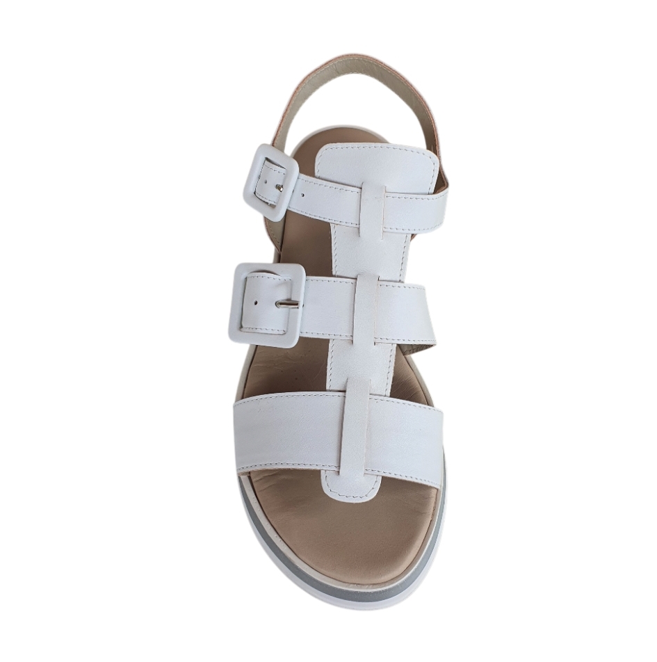 Clizia 9981 Bianco